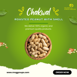 Roasted Chakwal Peanut with Shell